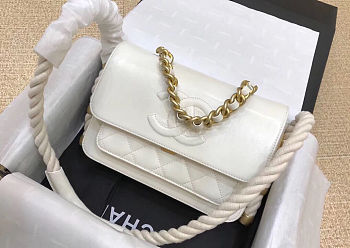 Chanel Handbag 81228L