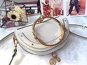  Chloe NILE Bag 1302 04 - 3