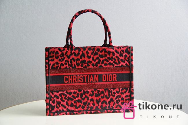 DIOR BOOK TOTE 02 - 1