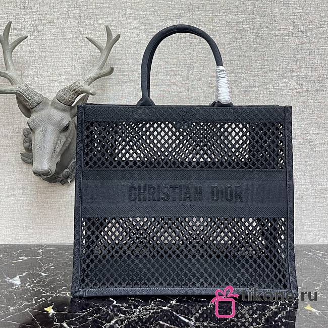 DIOR  BOOK TOTE In Lights 03 - 1