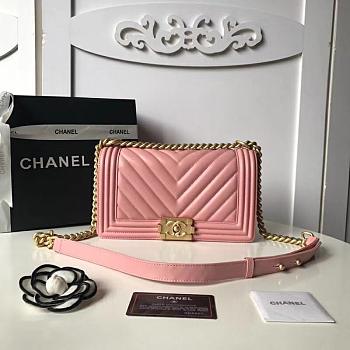 Chanel leboy bag 01