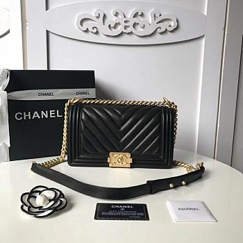 Chanel leboy bag 02