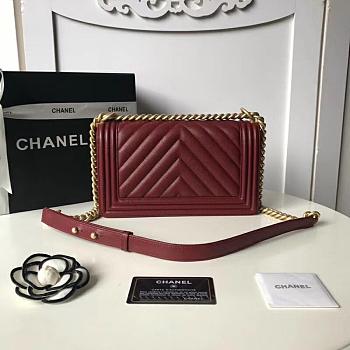 Chanel Leboy Bag Calfskin 05