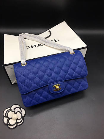 CHANEL FLAP BAG CAVIAR 25CM 008