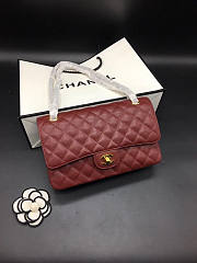 CHANEL FLAP BAG CAVIAR 25CM 009 - 1