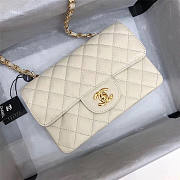 CHANEL FLAP BAG CAVIAR 20CM 011 - 1