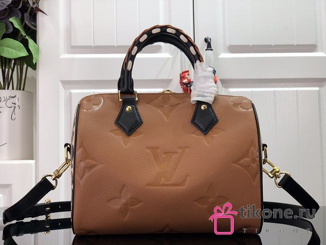 Louis Vuitton SPEEDY BANDOULIERE 25 M45840 - 1