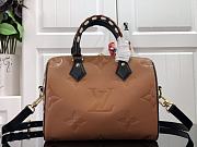 Louis Vuitton SPEEDY BANDOULIERE 25 M45840 - 1