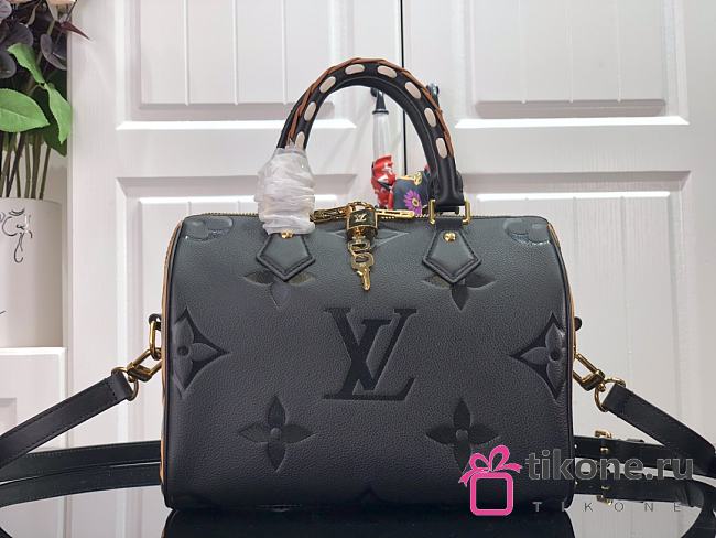 Louis Vuitton SPEEDY BANDOULIERE 25 M45840 02 - 1