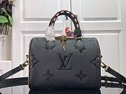 Louis Vuitton SPEEDY BANDOULIERE 25 M45840 02 - 1