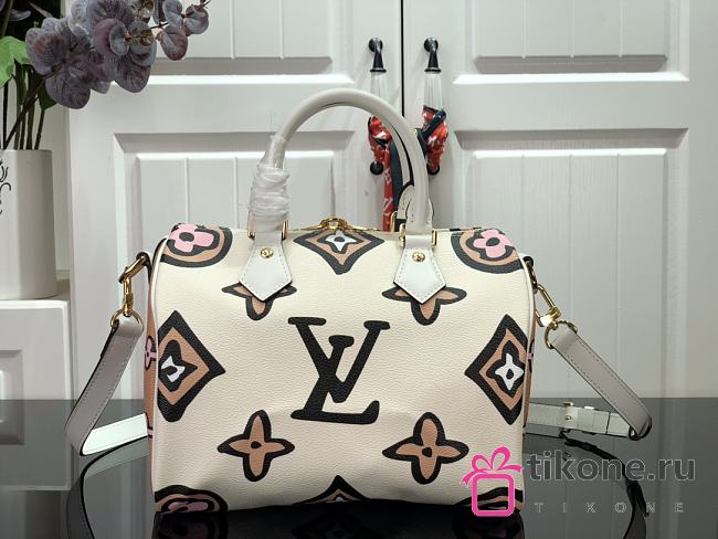 Louis Vuitton SPEEDY BANDOULIERE 25 M45828  - 1