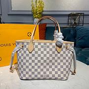 Louis Vuitton NEVERFULL PM N41245 - 1