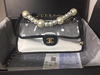 CHANEL Handbag 190419B