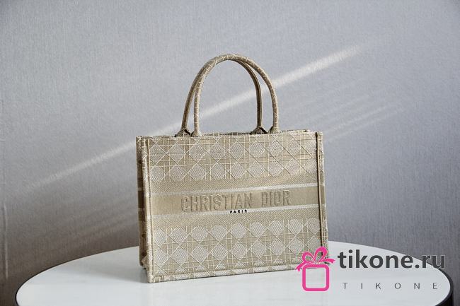 DIOR BOOK TOTE 1286 01 - 1