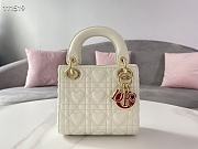 DIOR AMOUR LADY DIOR 02 - 1