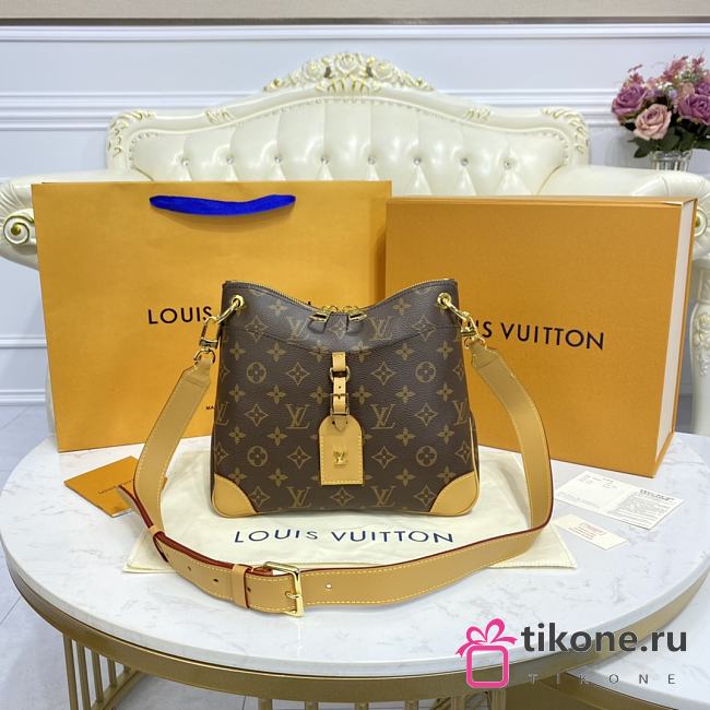 LOUIS VUITTON ODEON PM 01 - 1