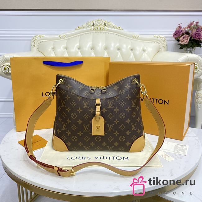 LOUIS VUITTON ODEON MM 01 - 1