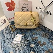  CHANEL FLAP BAG AS2222 02 - 1