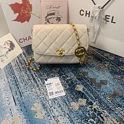 CHANEL FLAP BAG AS2222 03 - 1