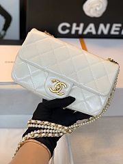 CHANEL FLAP BAG 121019A 02 - 1