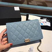 CHANEL CHAIN WALLET 120514D 05 - 1