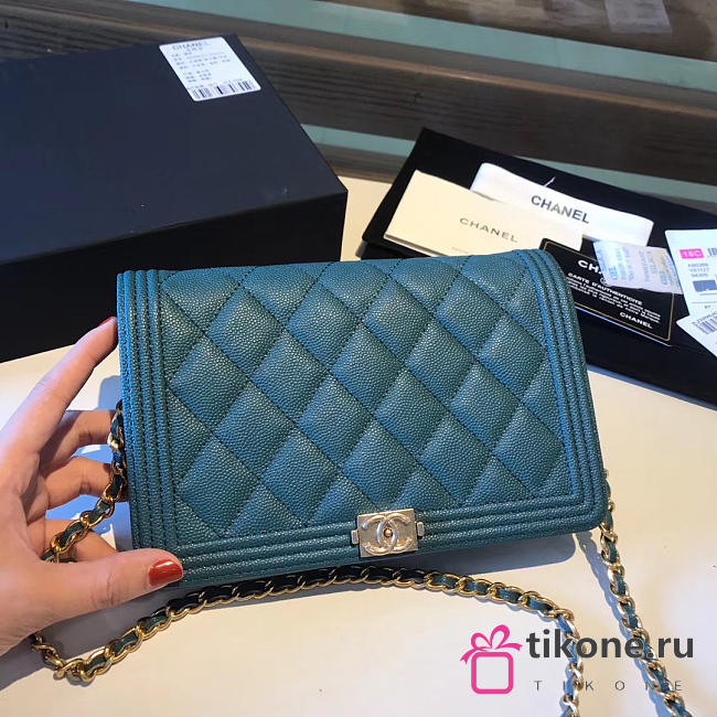 CHANEL CHAIN WALLET 120514D 06 - 1