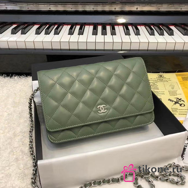 CHANEL WOC BAG 08 - 1