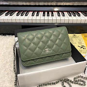 CHANEL WOC BAG 08 - 1