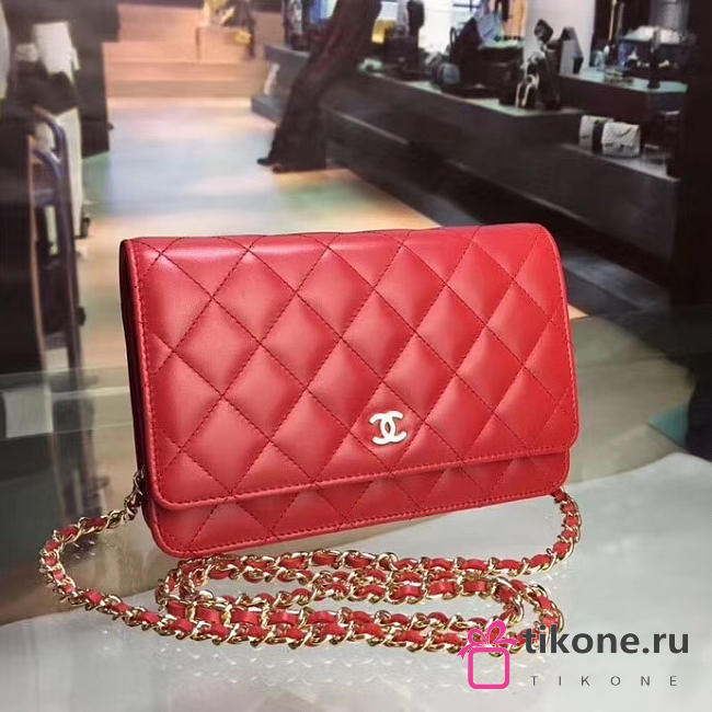 CHANEL WOC BAG 09 - 1