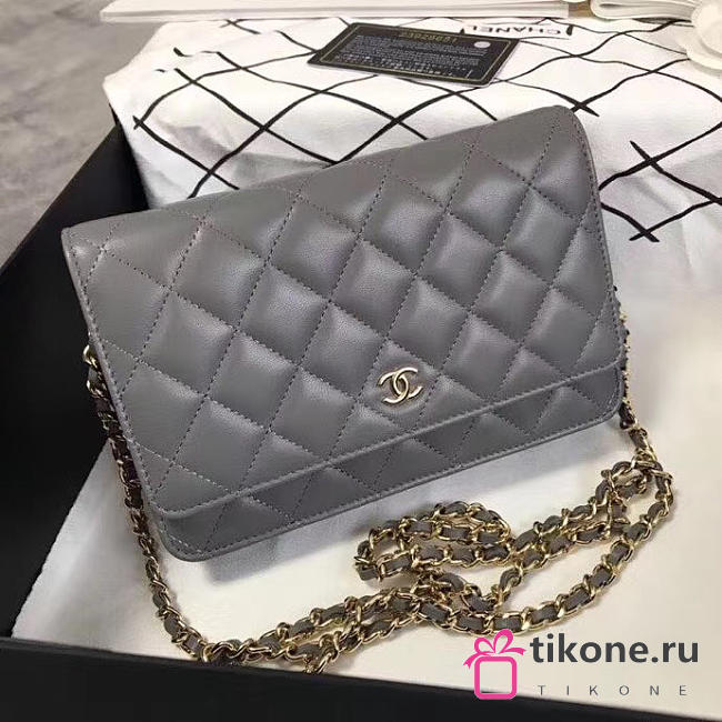 CHANEL WOC BAG 015 - 1