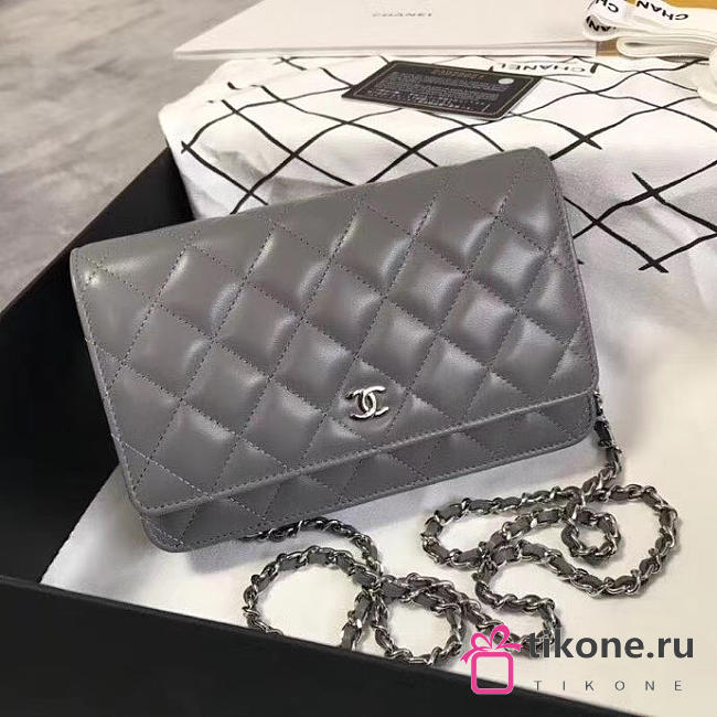 CHANEL WOC BAG 016 - 1