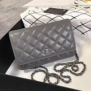 CHANEL WOC BAG 016 - 1