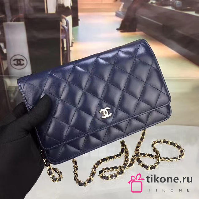 CHANEL WOC BAG 019 - 1