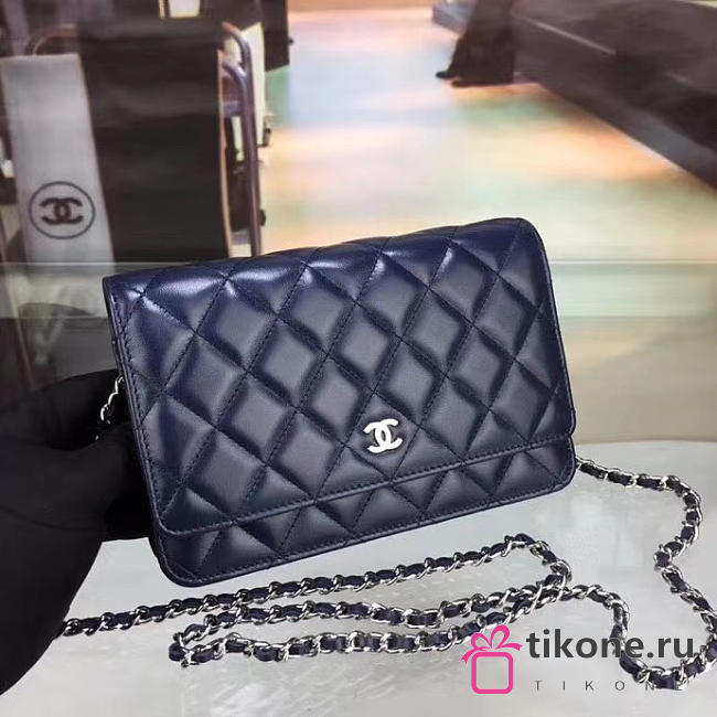 CHANEL WOC BAG 020 - 1