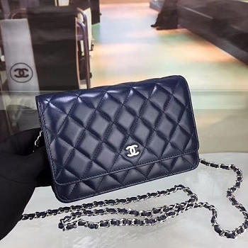 CHANEL WOC BAG 020