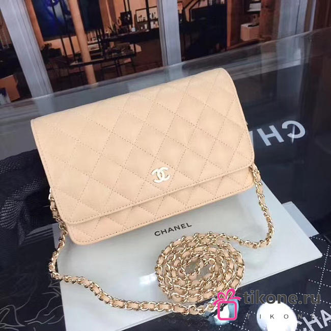 CHANEL WOC BAG 021 - 1