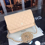 CHANEL WOC BAG 021 - 1