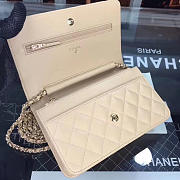 CHANEL WOC BAG 021 - 3