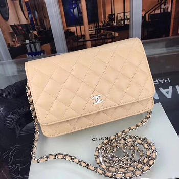 CHANEL WOC BAG 022