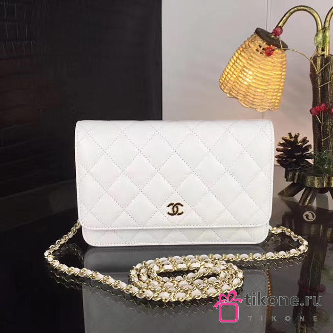 CHANEL WOC BAG 023 - 1