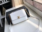 CHANEL Handbag 110716A 02 - 1