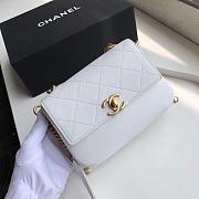 CHANEL Handbag 110716A 02 - 2