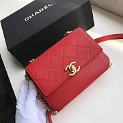 CHANEL Handbag 110716A 03 - 2