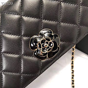 Chanel Handbag A94575 02 - 3