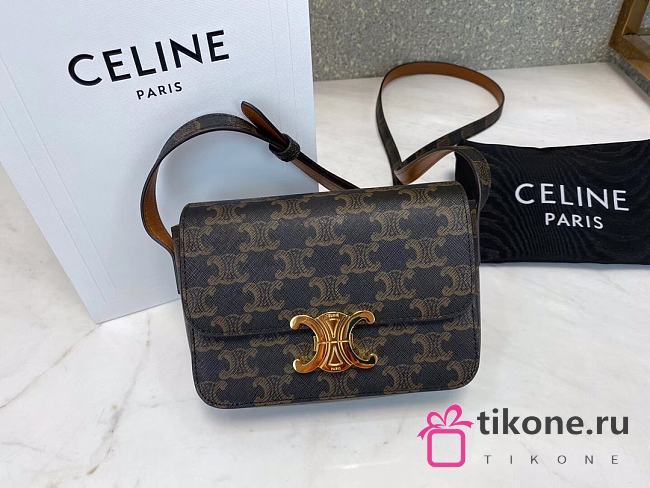 CELINE NANO TRIOMPHE BAG IN TRIOMPHE CANVAS - 1