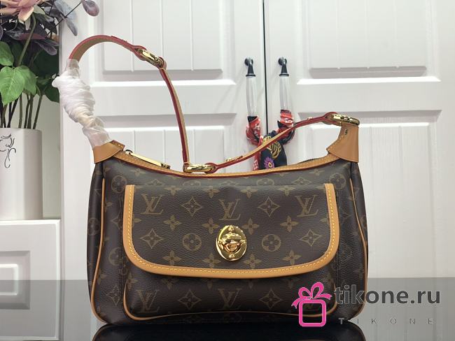 Louis Vuitton Shoulder bag M40077MP  - 1