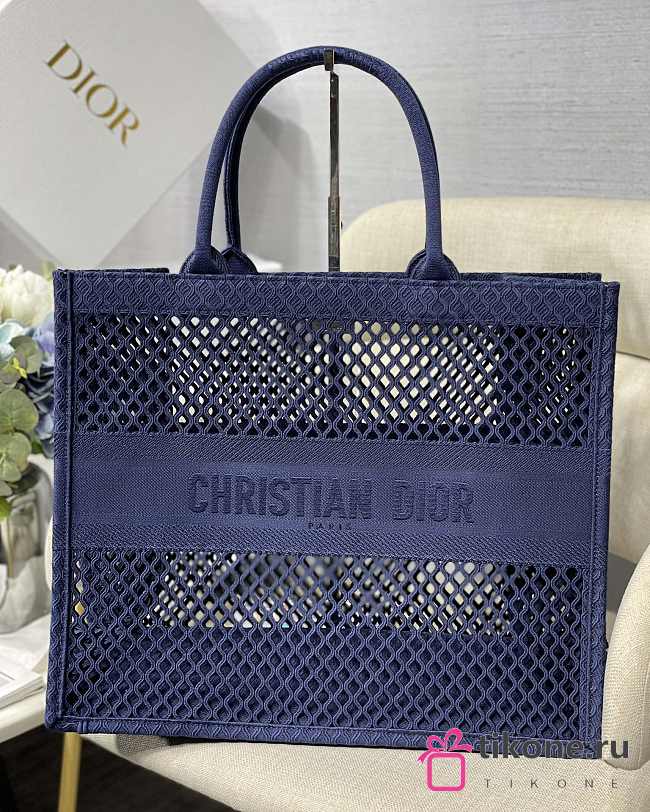 DIOR BOOK TOTE In Lights 05 - 1