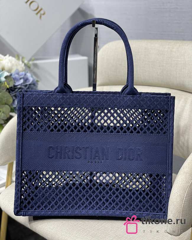 DIOR BOOK TOTE In Lights 06 - 1