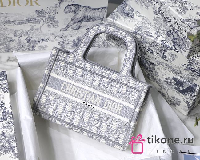 DIOR MINI BOOK TOTE 07 - 1