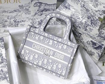 DIOR MINI BOOK TOTE 07